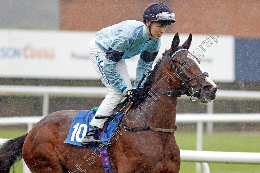 Orchid-0002 
 ORCHID (Billy Loughnane)
Leicester 10 Sep 2024 - Pic Steven Cargill / Racingfotos.com