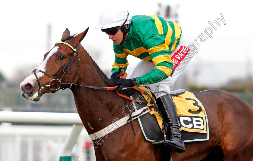 Apple s-Shakira-0007 
 APPLE'S SHAKIRA (Barry Geraghty) wins The JCB Triumph Trial Juvenile Hurdle Cheltenham 16 Dec 2017 - Pic Steven Cargill / Racingfotos.com