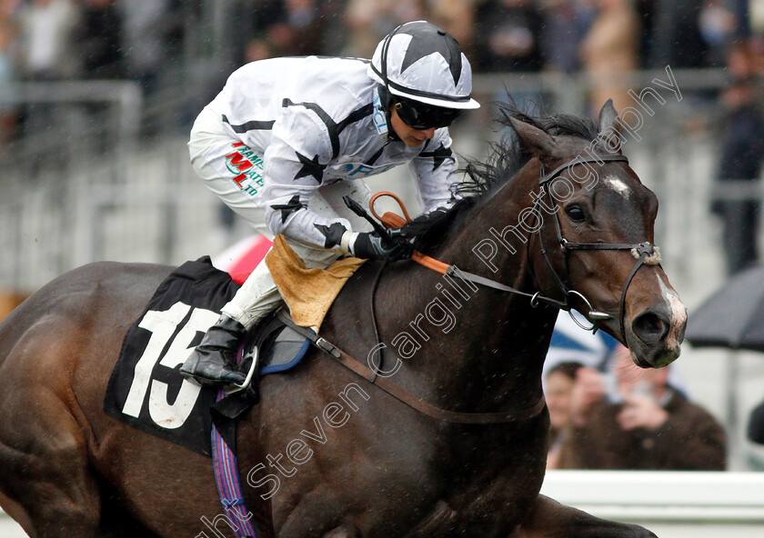 Raising-Sand-0009 
 RAISING SAND (Nicola Currie) wins The Bet With Ascot Challenge Cup Handicap
Ascot 6 Oct 2018 - Pic Steven Cargill / Racingfotos.com