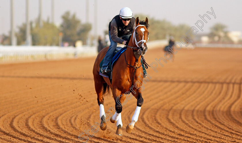 Mandaloun-0001 
 MANDALOUN training for the Saudi Cup
King Abdulaziz Racetrack, Riyadh, Saudi Arabia 24 Feb 2022 - Pic Steven Cargill / Racingfotos.com