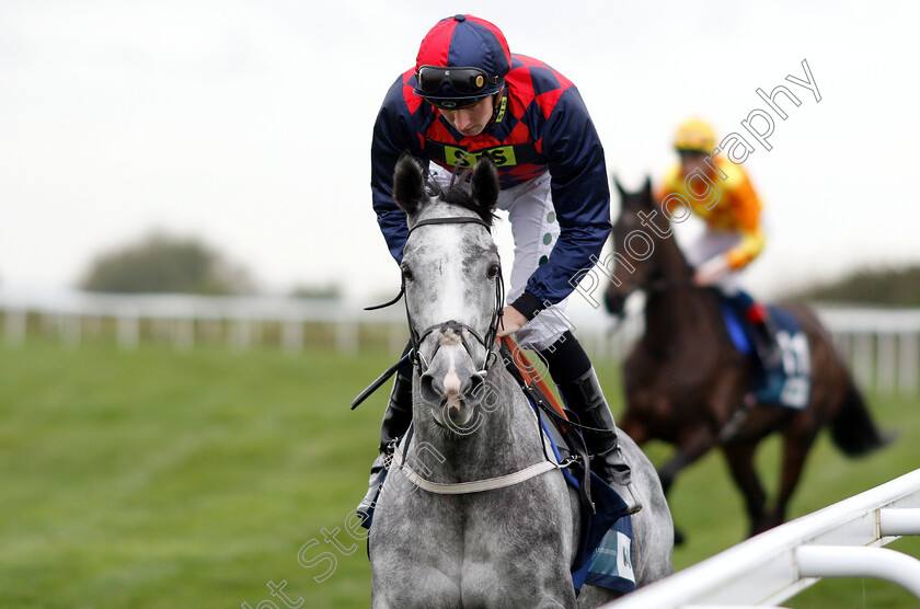 Luire-0001 
 LUIRE (Hector Crouch)
Bath 17 Oct 2018 - Pic Steven Cargill / Racingfotos.com