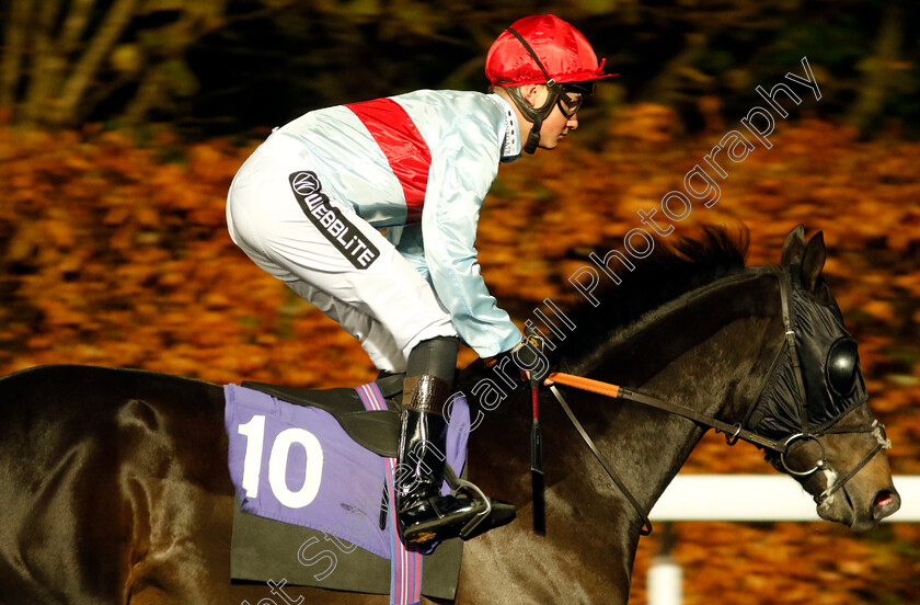 Pratarine-0001 
 PRATARINE (William Cox)
Kempton 6 Dec 2023 - Pic Steven Cargill / Racingfotos.com