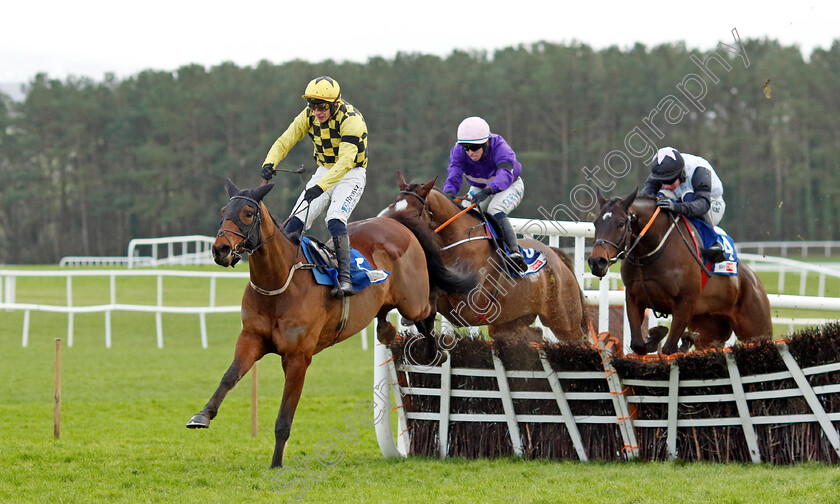 Salvator-Mundi-0002 
 SALVATOR MUNDI (Paul Townend) wins the Sky Bet Moscow Flyer Novice Hurdle
Punchestown 12 Jan 2025 - Pic Steven Cargill / Racingfotos.com