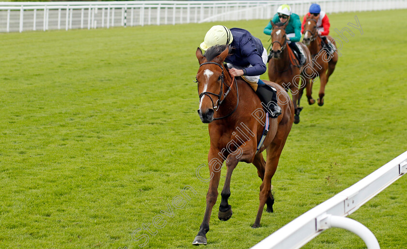 Crystal-Estrella-0003 
 CRYSTAL ESTRELLA (William Buick) wins The British EBF Fillies Restricted Novice Stakes
Goodwood 20 May 2022 - Pic Steven Cargill / Racingfotos.com