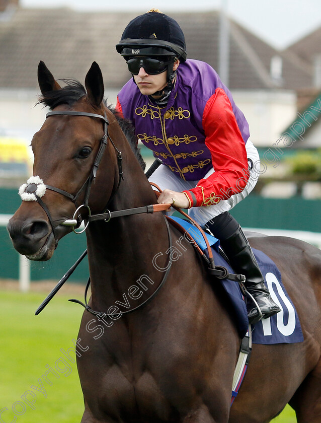 Reaching-High-0001 
 REACHING HIGH (Richard Kingscote)
Yarmouth 20 Sep 2023 - Pic Steven Cargill / Racingfotos.com