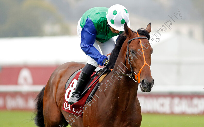 Rashabar-0002 
 RASHABAR (Sean Levey)
Longchamp 6 Oct 2024 - Pic Steven Cargill / Racingfotos.com