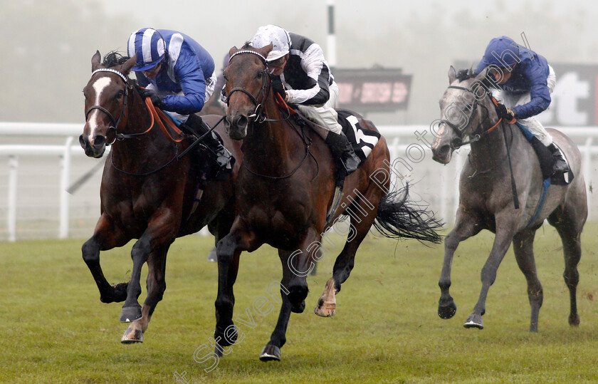 Heart-Of-Grace-0002 
 HEART OF GRACE (centre, James Doyle) beats ANASHEED (left) in The Oriens Aviation British EBF Maiden Fillies Stakes Div1 Goodwood 24 May 2018 - Pic Steven Cargill / Racingfotos.com