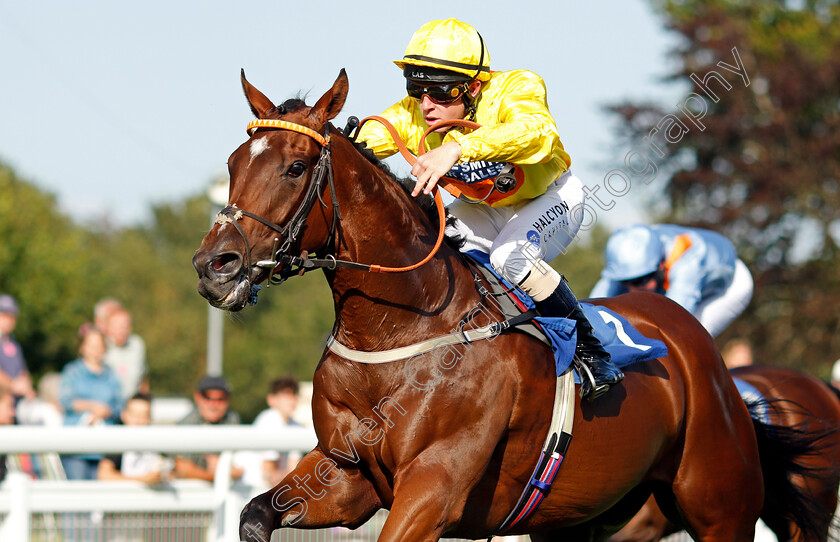 Bolly-Bullet-0002 
 BOLLY BULLET (Owen Lewis) wins The Byerley Stud Racing Excellence Apprentice Handicap
Salisbury 11 Aug 2021 - Pic Steven Cargill / Racingfotos.com