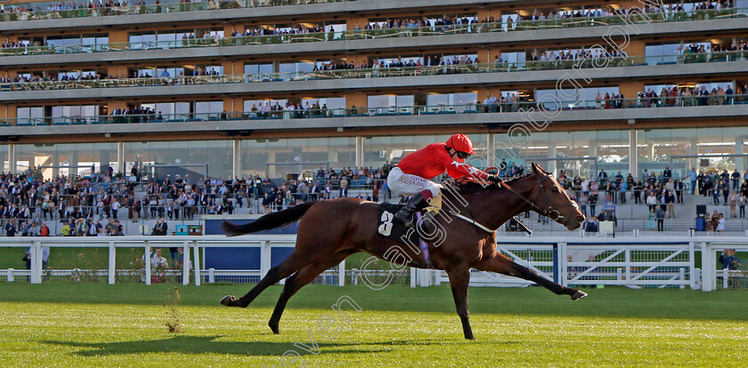 Hampden-Park-0002 
 HAMPDEN PARK (Oisin Murphy) wins The Heros Novice Stakes
Ascot 6 Oct 2023 - Pic Steven Cargill / Racingfotos.com