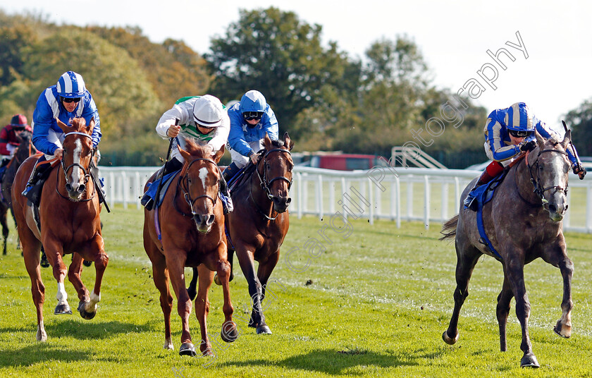 Belloccio-0002 
 BELLOCCIO (right, David Egan) beats ALEAS (centre) and MOHAAFETH (left) in The PKF Francis Clark British EBF Novice Stakes Div1
Salisbury 1 Oct 2020 - Pic Steven Cargill / Racingfotos.com