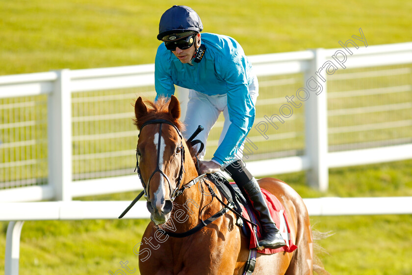 Hackman-0001 
 HACKMAN (James Doyle)
Sandown 25 May 2023 - Pic Steven Cargill / Racingfotos.com