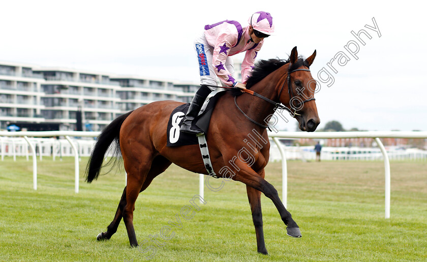 Perfect-Clarity-0001 
 PERFECT CLARITY (David Probert)
Newbury 18 Aug 2018 - Pic Steven Cargill / Racingfotos.com