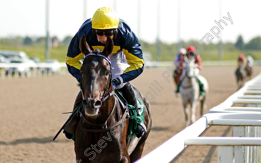 Sahis-0005 
 SAHIS (Alex Chadwick) wins The Al Bustan Beach Handicap (for purebred arabians)
Chelmsford 3 Jun 2021 - Pic Steven Cargill / Racingfotos.com