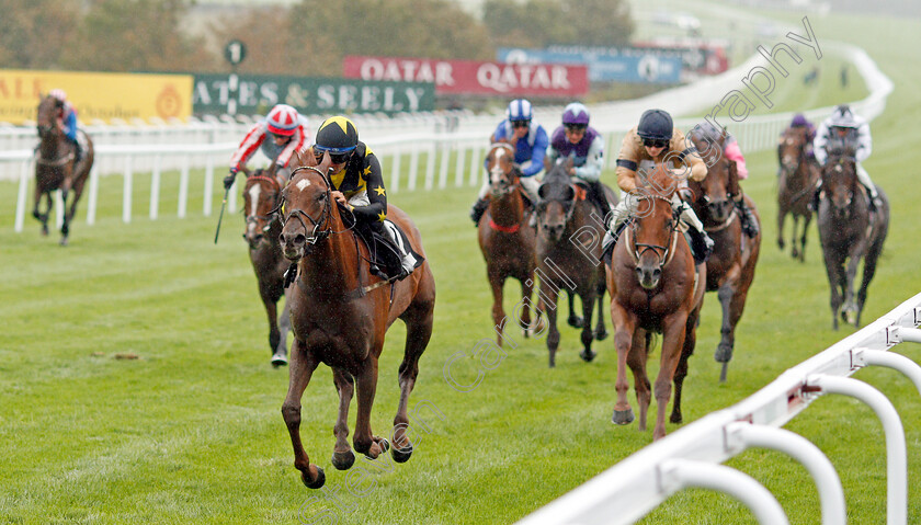 Alemaratalyoum-0001 
 ALEMARATALYOUM (Sean Levey) wins The Old Mout Optional Claiming Handicap
Goodwood 25 Sep 2019 - Pic Steven Cargill / Racingfotos.com