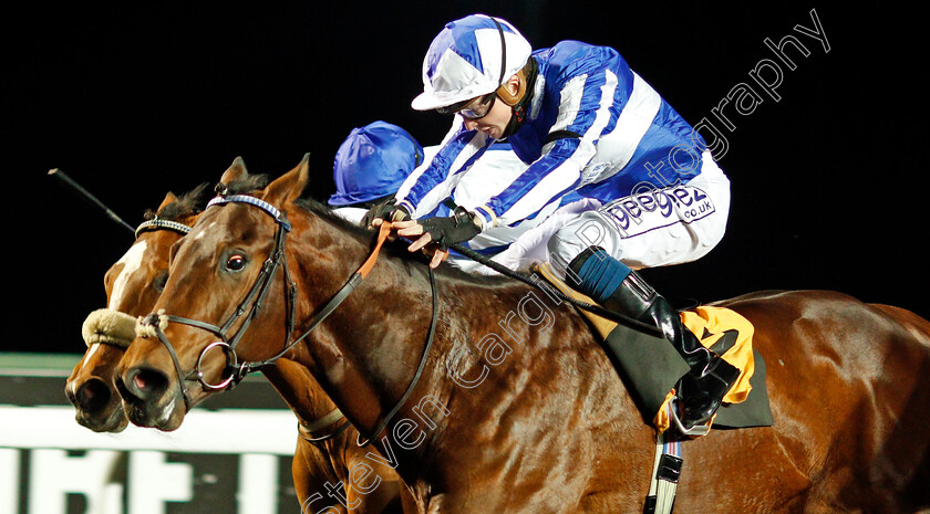 Melody-Of-Life-0005 
 MELODY OF LIFE (David Probert) wins The Unibet Casino Deposit £10 Get £40 Bonus Novice Stakes Div2
Kempton 13 Jan 2021 - Pic Steven Cargill / Racingfotos.com