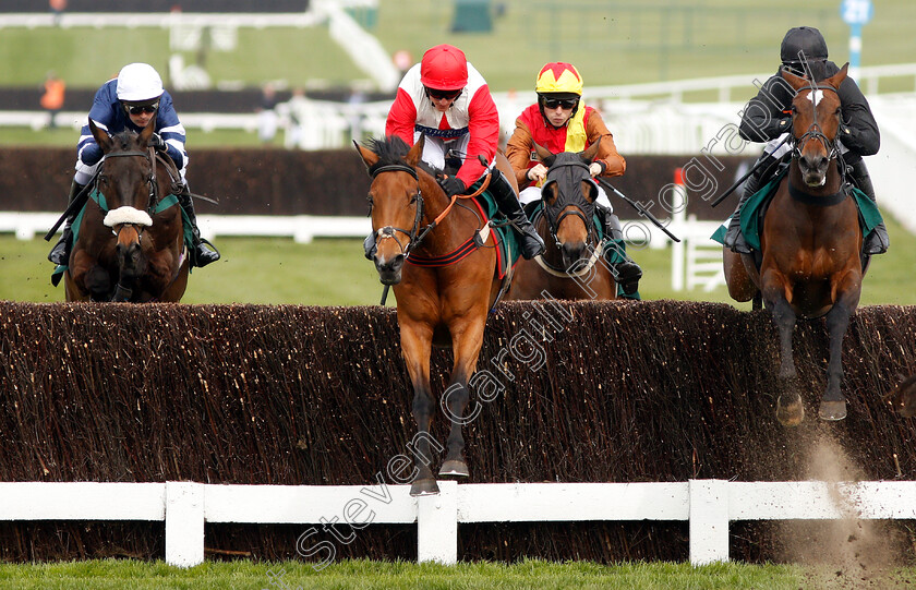 Majestic-Moll-0001 
 MAJESTIC MOLL (centre, Adam Wedge) with DESIRABLE COURT (right)
Cheltenham 18 Apr 2019 - Pic Steven Cargill / Racingfotos.com