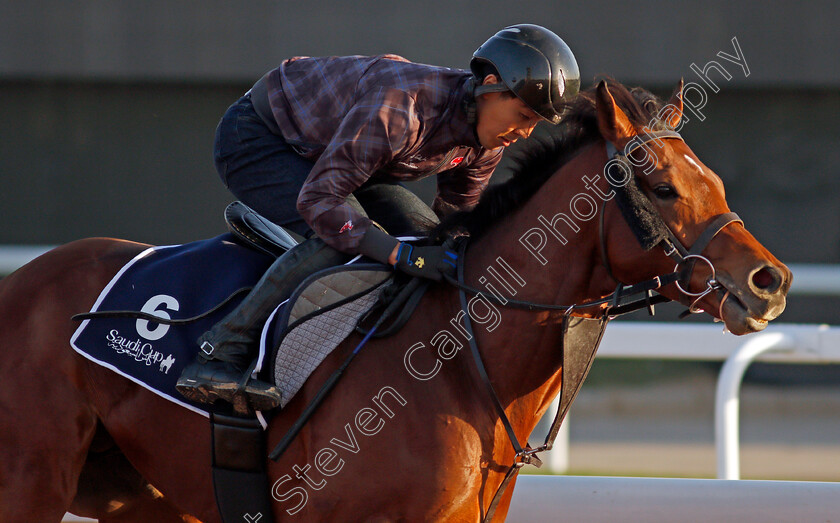 Lauda-Sion-0001 
 LAUDA SION training for The Turf Sprint
King Abdulaziz Racetrack, Riyadh, Saudi Arabia 23 Feb 2022 - Pic Steven Cargill / Racingfotos.com