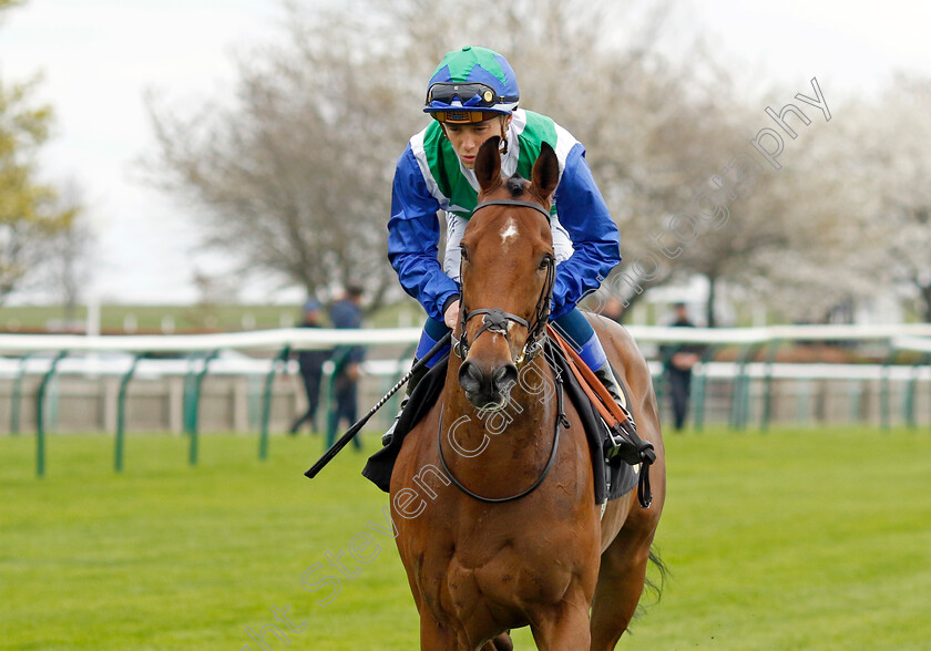 Vafortino-0002 
 VAFORTINO (Benoit de la Sayette)
Newmarket 18 Apr 2023 - Pic Steven Cargill / Racingfotos.com