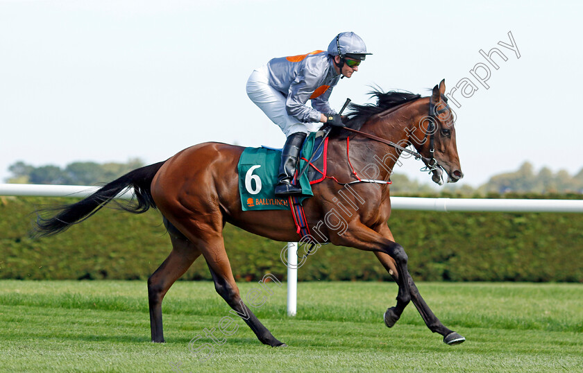 Making-Time-0001 
 MAKING TIME (Seamie Heffernan)
Leopardstown 9 Sep 2023 - Pic Steven Cargill / Racingfotos.com