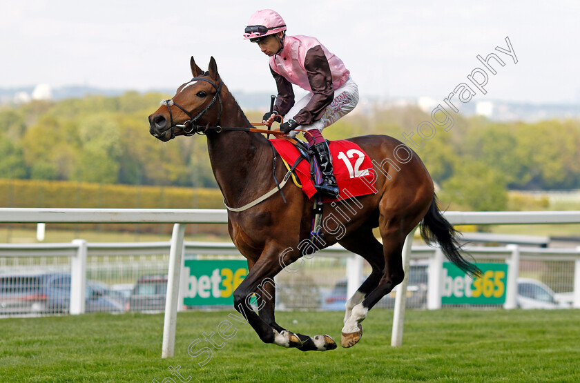 Monsieur-Melee-0001 
 MONSIEUR MELEE (Oisin Murphy)
Sandown 26 Apr 2024 - Pic Steven Cargill / Racingfotos.com