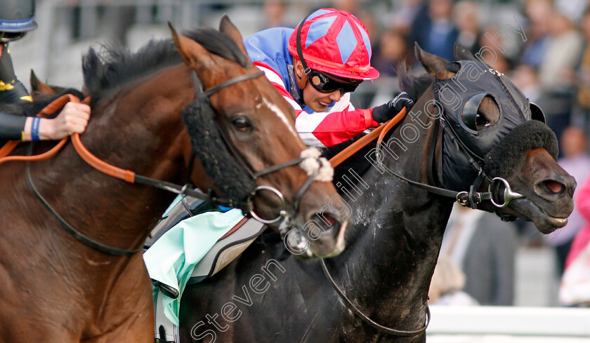 Concierge-0002 
 CONCIERGE (Megan Nicholls)
Ascot 7 Sep 2019 - Pic Steven Cargill / Racingfotos.com