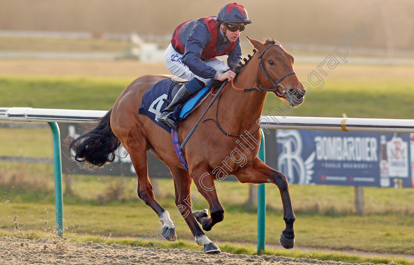 Ahorsecalledwanda-0007 
 AHORSECALLEDWANDA (Joey Haynes) wins The Ladbrokes Where The Nation Plays Fillies Novice Stakes
Lingfield 8 Feb 2020 - Pic Steven Cargill / Racingfotos.com