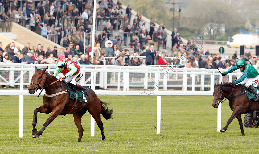 Le-Patriote-0002 
 LE PATRIOTE (Sam Twiston-Davies) wins The Kingston Stud Handicap Hurdle
Cheltenham 17 Apr 2019 - Pic Steven Cargill / Racingfotos.com