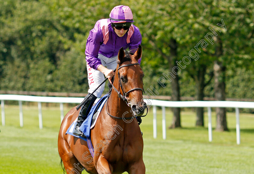 Above-It-All-0001 
 ABOVE IT ALL (Tom Marquand)
Salisbury 11 Aug 2021 - Pic Steven Cargill / Racingfotos.com