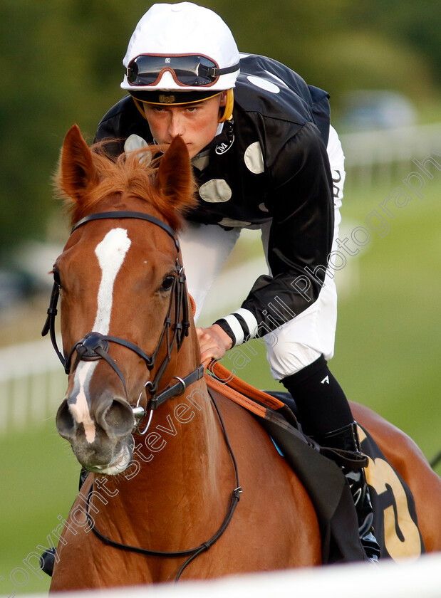 Pivotal-Dance-0002 
 PIVOTAL DANCE (Kyle Strydom)
Newmarket 4 Aug 2023 - Pic Steven Cargill / Racingfotos.com