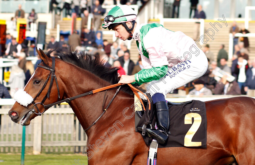 Bell-Rock-0001 
 BELL ROCK (Oisin Murphy) winner of The Willow Novice Stakes
Newmarket 24 Oct 2018 - Pic Steven Cargill / Racingfotos.com