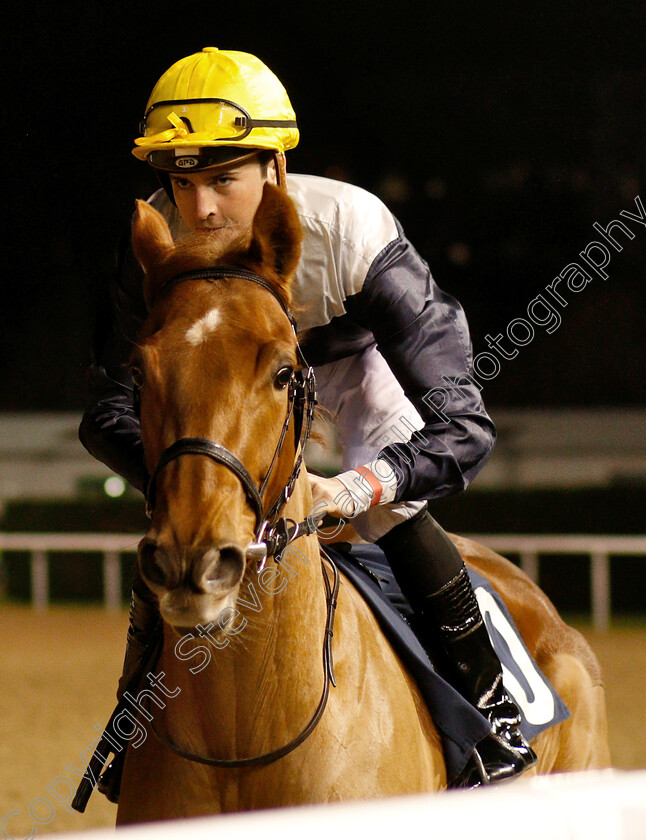 Something-Blond-0001 
 SOMETHING BLOND (Marc Monaghan)
Wolverhampton 10 Dec 2018 - Pic Steven Cargill / Racingfotos.com