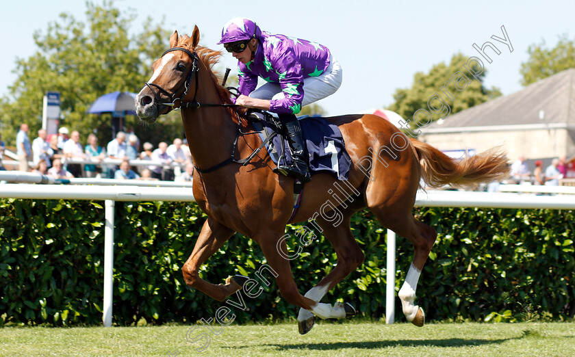 Blonde-Warrior-0006 
 BLONDE WARRIOR (James Doyle) wins The Edmond Shipway Novice Stakes
Doncaster 29 Jun 2018 - Pic Steven Cargill / Racingfotos.com