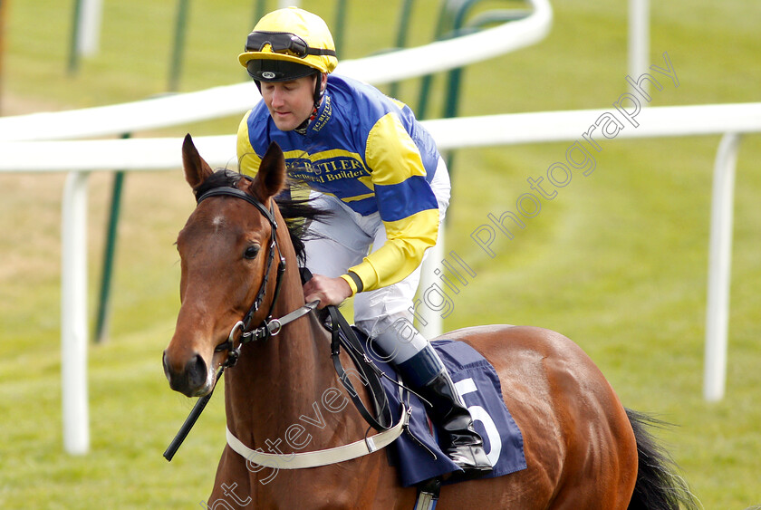 Luna-Wish-0001 
 LUNA WISH (Tom Queally)
Yarmouth 23 Apr 2019 - Pic Steven Cargill / Racingfotos.com