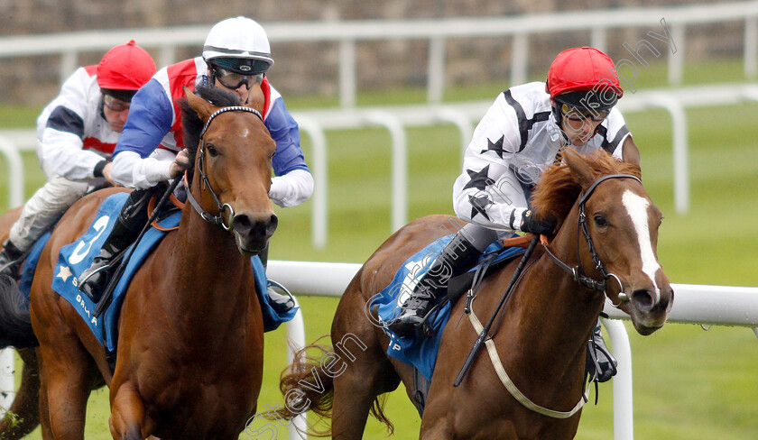 Great-Dame-0005 
 GREAT DAME (right, Daniel Tudhope) beats IVA REFLECTION (left) in The Stellar Group Lily Agnes Stakes
Chester 8 May 2019 - Pic Steven Cargill / Racingfotos.com