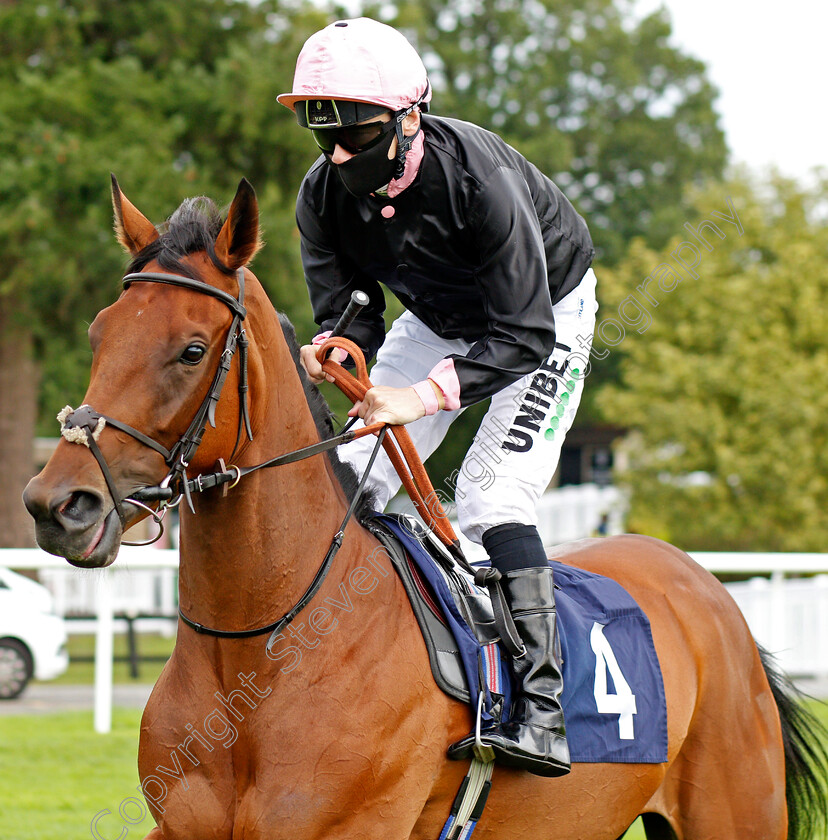 Folk-Dance-0002 
 FOLK DANCE (Jamie Spencer)
Lingfield 2 Sep 2020 - Pic Steven Cargill / Racingfotos.com