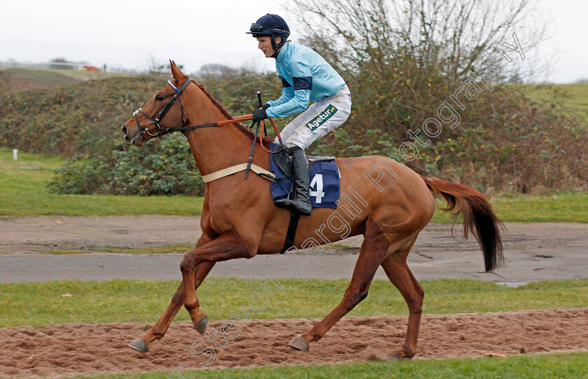 Conceal-0003 
 CONCEAL (Tom Bellamy) 
Chepstow 7 Dec 2019 - Pic Steven Cargill / Racingfotos.com