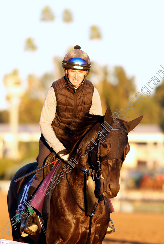 Mostahdaf-0003 
 MOSTAHDAF training for The Breeders' Cup Turf
Santa Anita USA, 31 October 2023 - Pic Steven Cargill / Racingfotos.com