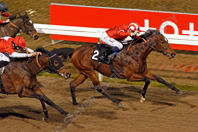 La-Tihaty-0011 
 LA TIHATY (Cameron Noble) beats ROGUE FORCE (left) in The Support The Injured Jockeys Fund Novice Stakes
Chelmsford 22 Jan 2021 - Pic Steven Cargill / Racingfotos.com