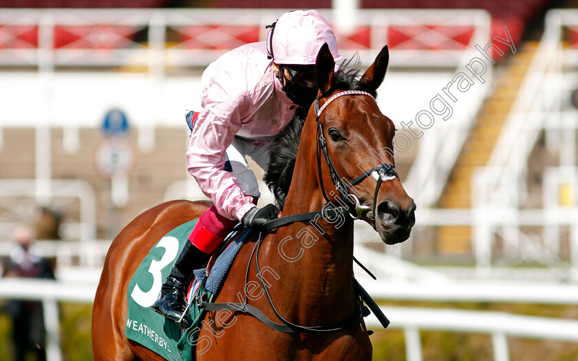 Darlectable-You-0001 
 DARLECTABLE YOU (Frankie Dettori)
Chester 5 May 2021 - Pic Steven Cargill / Racingfotos.com