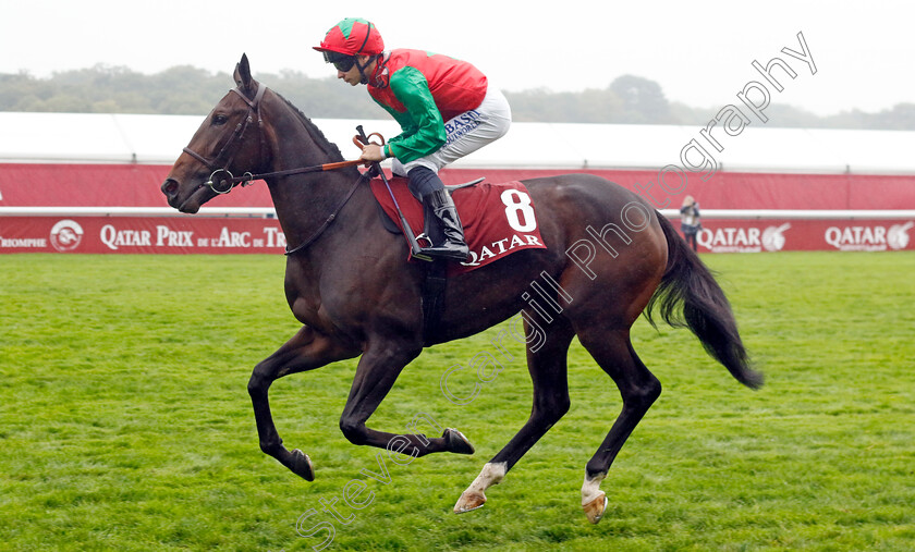 Vertical-Blue-0004 
 VERTICAL BLUE (A Pouchin) winner of The Qatar Prix Marcel Boussac
Longchamp 6 Oct 2024 - Pic Steven Cargill / Racingfotos.com