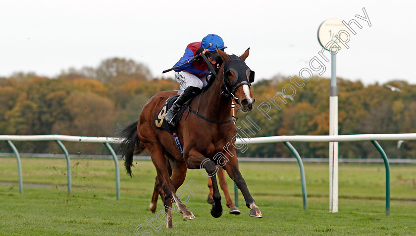 Tao-Te-Ching-0003 
 TAO TE CHING (Robert Havlin) wins The Mansionbet Best Odds Guaranteed Novice Stakes
Nottingham 28 Oct 2020 - Pic Steven Cargill / Racingfotos.com