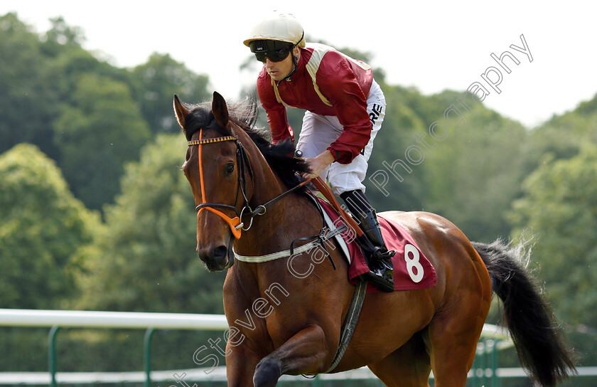 Heartache-0004 
 HEARTACHE (Martin Harley)
Haydock 26 May 2018 - Pic Steven Cargill / Racingfotos.com