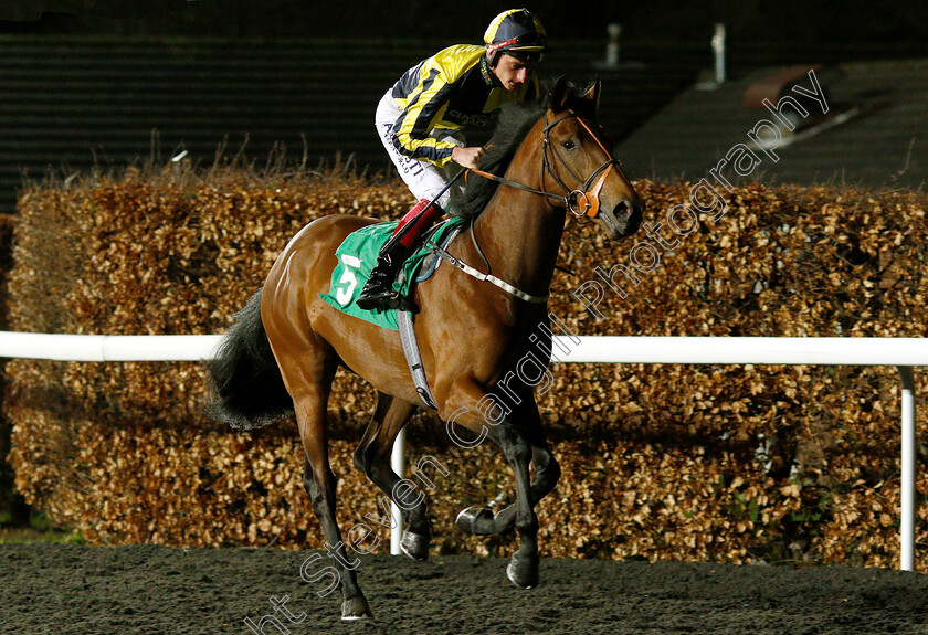 Getchagetchagetcha-0001 
 GETCHAGETCHAGETCHA (Adam Kirby)
Kempton 6 Mar 2019 - Pic Steven Cargill / Racingfotos.com