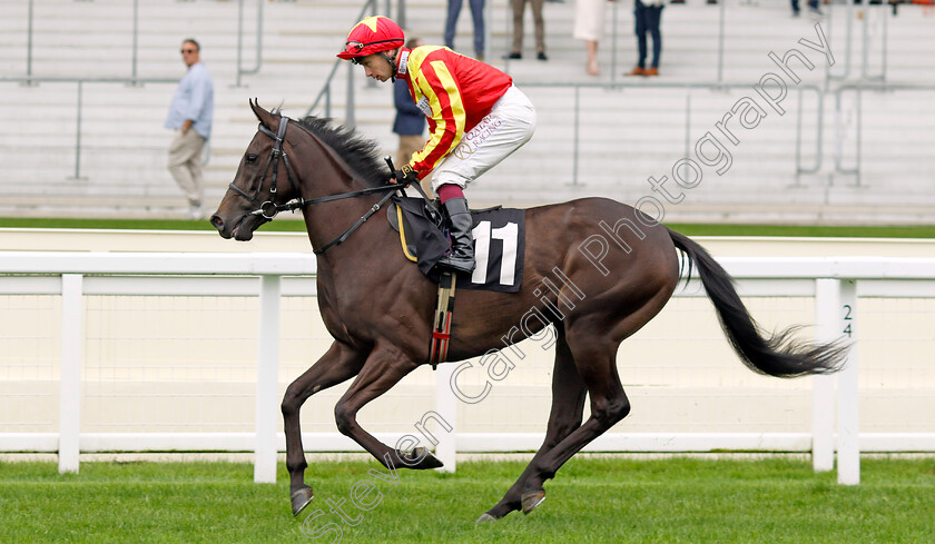 Cindy-Lou-Who-0001 
 CINDY LOU WHO (Oisin Murphy)
Ascot 6 Sep 2024 - Pic Steven Cargill / Racingfotos.com