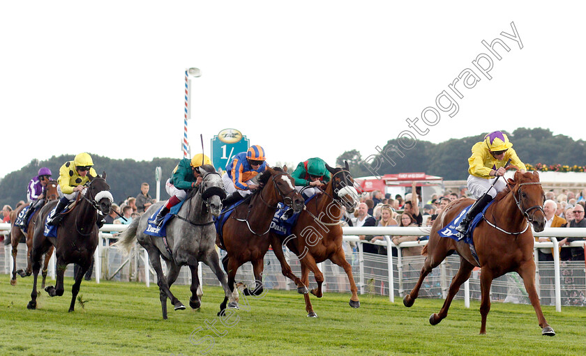 Sea-Of-Class-0003 
 SEA OF CLASS (James Doyle) beats CORONET (2nd left) in The Darley Yorkshire Oaks
York 23 Aug 2018 - Pic Steven Cargill / Racingfotos.com