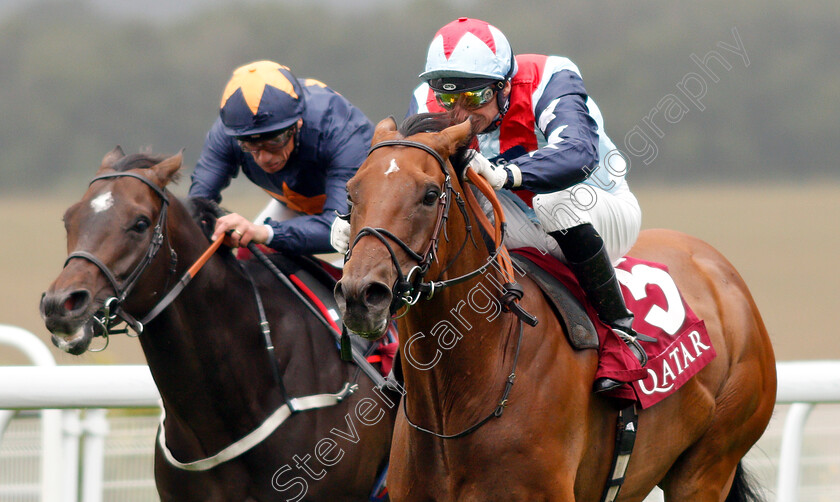 Sir-Dancealot-0003 
 SIR DANCEALOT (Gerald Mosse) wins The Qatar Lennox Stakes
Goodwood 30 Jul 2019 - Pic Steven Cargill / Racingfotos.com