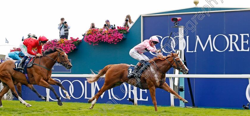 Live-In-The-Dream-0003 
 LIVE IN THE DREAM (Sean Kirrane) beats HIGHFIELD PRINCESS (left) in The Coolmore Nunthorpe Stakes
York 25 Aug 2023 - Pic Steven Cargill / Racingfotos.com