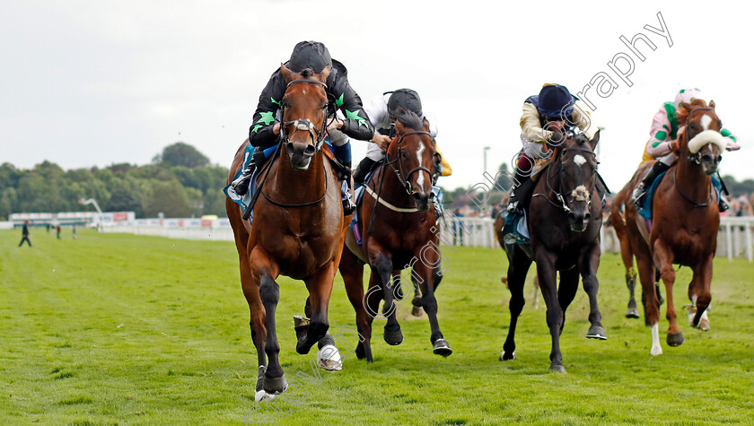 Inquisitively-0004 
 INQUISITIVELY (William Buick) wins The Julia Graves Roses Stakes
York 26 Aug 2023 - Pic Steven Cargill / Racingfotos.com