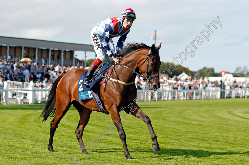 Precisely-0001 
 PRECISELY (Daivd Egan)
Yarmouth 14 Sep 2022 - Pic Steven Cargill / Racingfotos.com