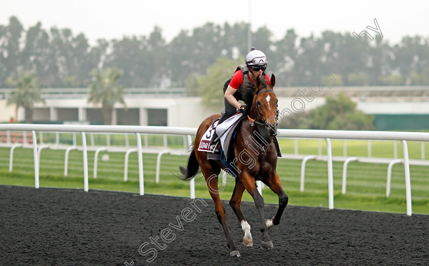 Eldar-Eldarov-0003 
 ELDAR ELDAROV training for the Dubai Gold Cup
Meydan Dubai 26 Mar 2024 - Pic Steven Cargill / Racingfotos.com